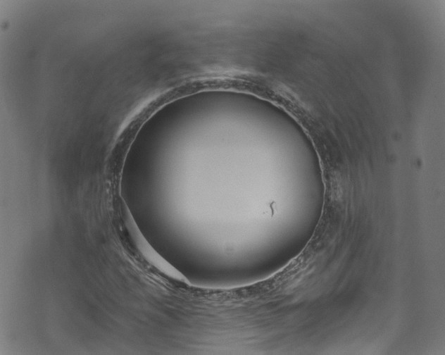 X0000074941208200609011107