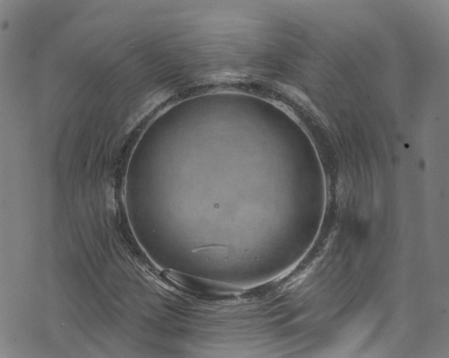 X0000074941209200609011107