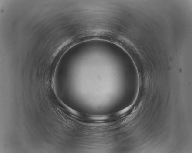 X0000074941210200609011107