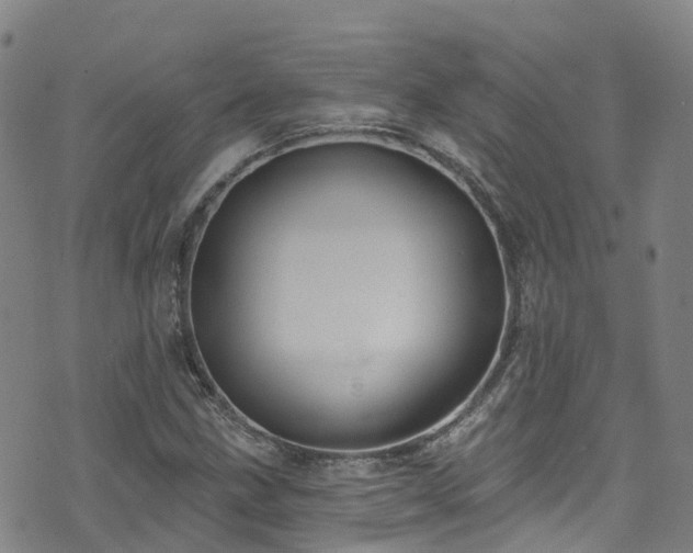 X0000074941211200609011107