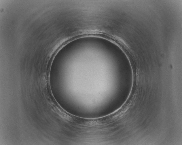 X0000074941212200609011107