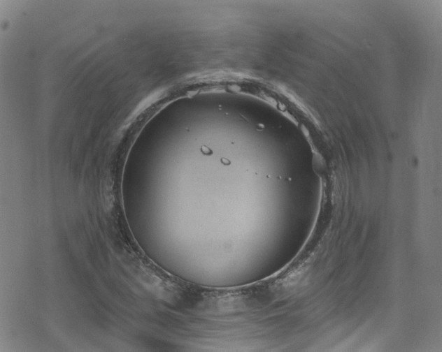 X0000074941213200609011107