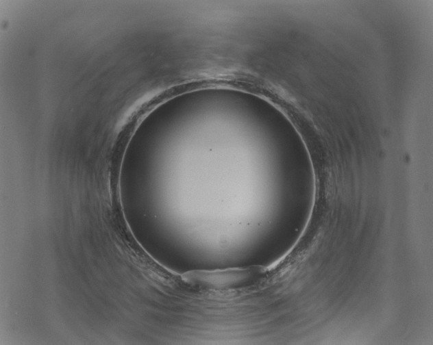 X0000074941214200609011107