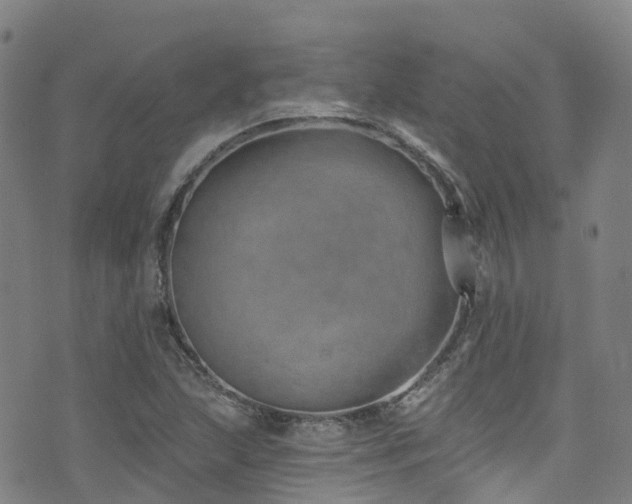 X0000074941215200609011107