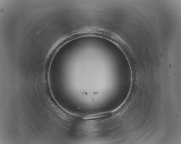 X0000074941216200609011107