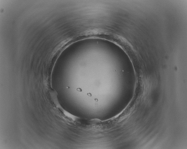 X0000074941217200609011107