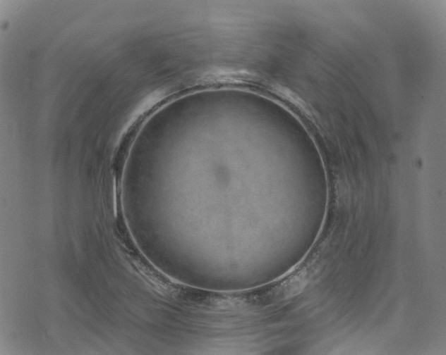 X0000074941219200609011107