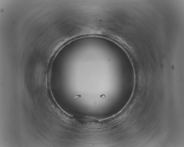 X0000074941220200609011107