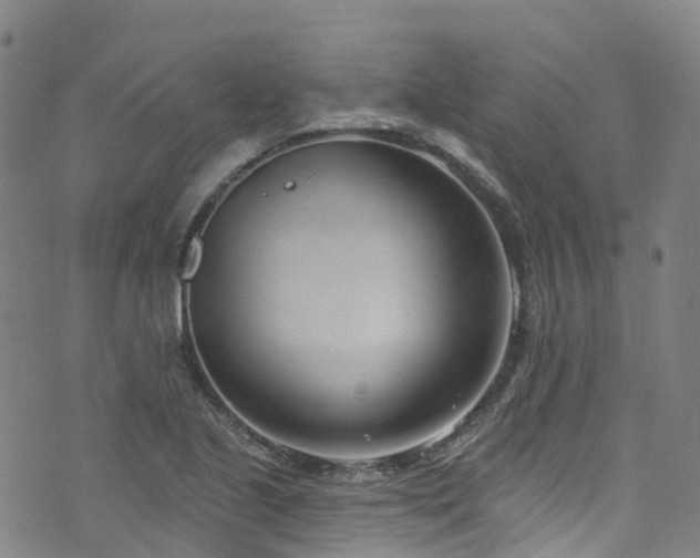 X0000074941221200609011107