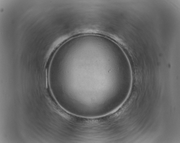 X0000074941223200609011107