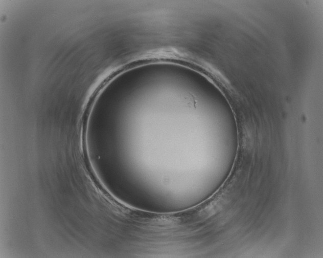 X0000074941224200609011107