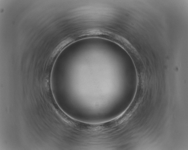 X0000074941225200609011107