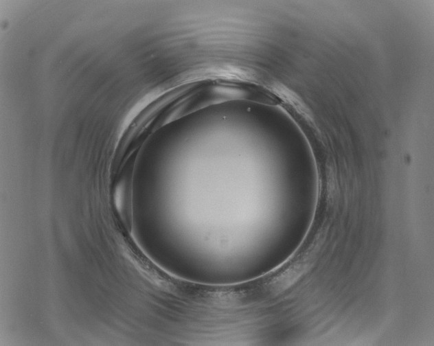 X0000074941226200609011107