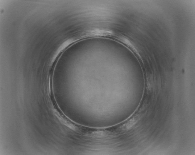 X0000074941227200609011107