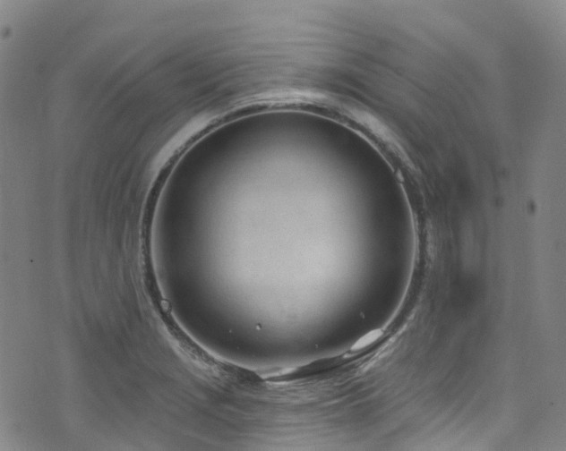 X0000074941229200609011107