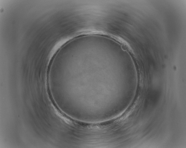 X0000074941231200609011107