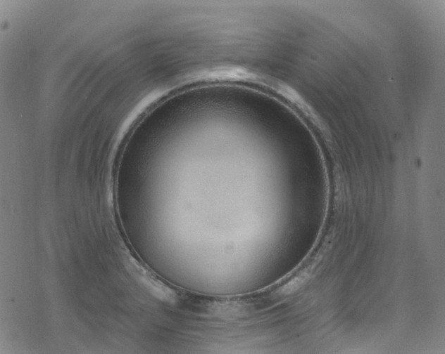 X0000074941232200609011107