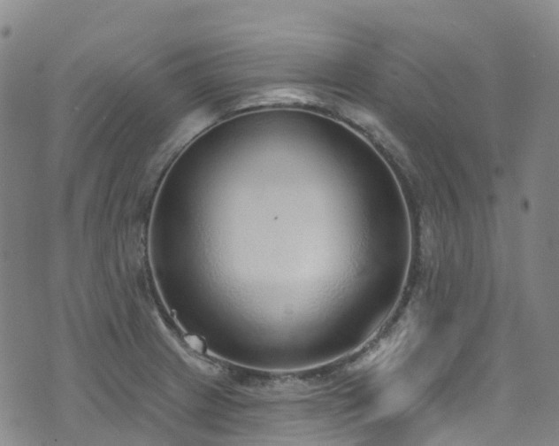 X0000074941233200609011107