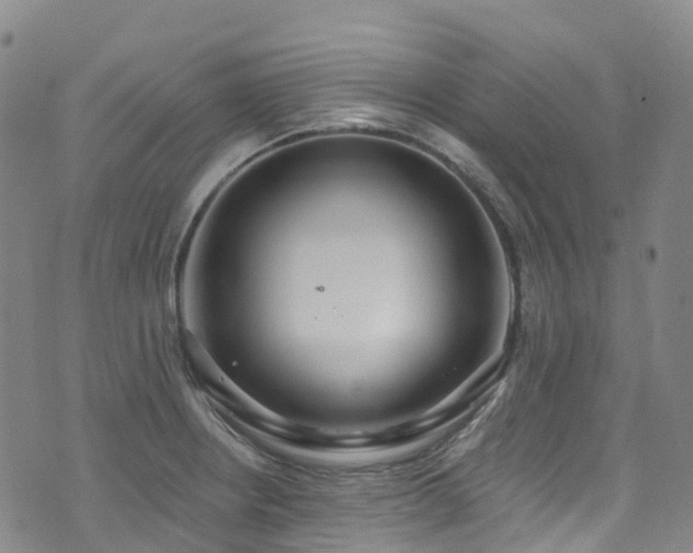 X0000074941234200609011107