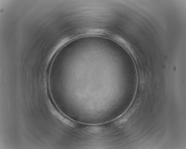 X0000074941235200609011107