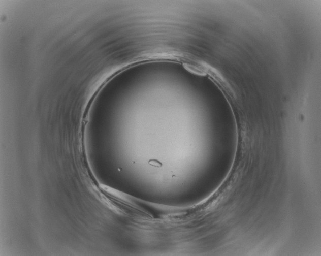 X0000074941236200609011107