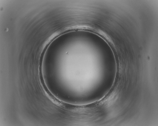 X0000074941237200609011107