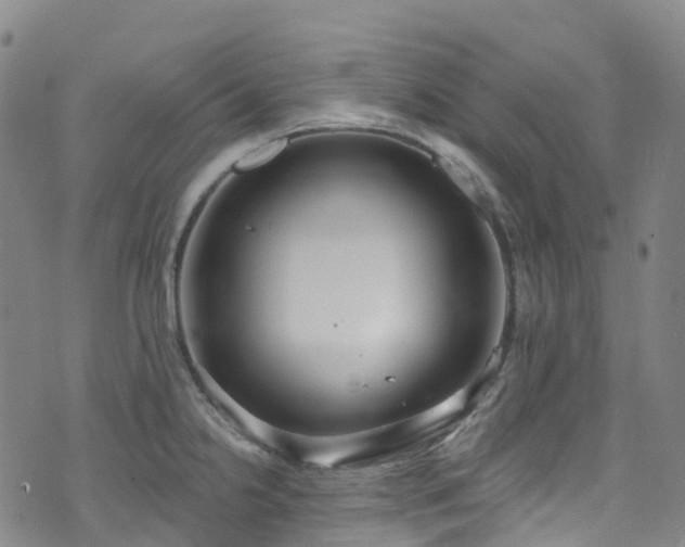 X0000074941238200609011107