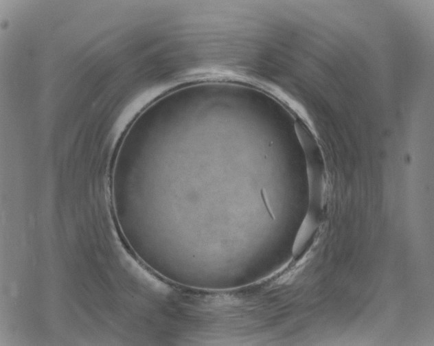 X0000074941239200609011107