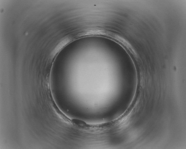 X0000074941241200609011107