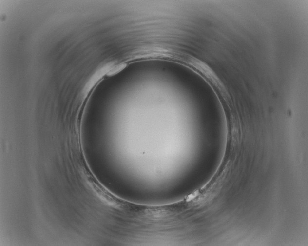 X0000074941242200609011107