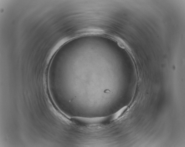 X0000074941243200609011107