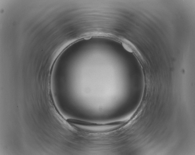 X0000074941244200609011107