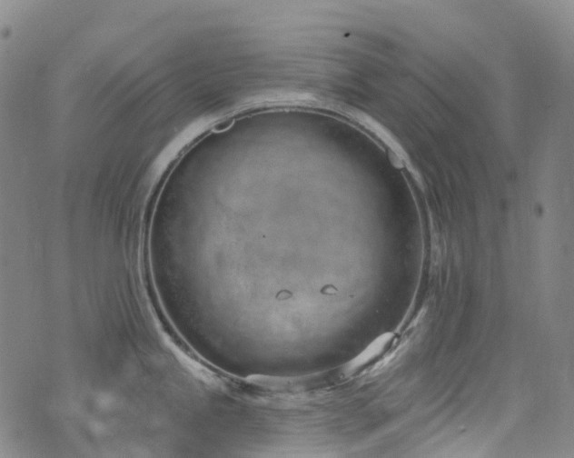 X0000074941245200609011108