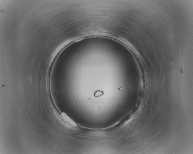 X0000074941246200609011108