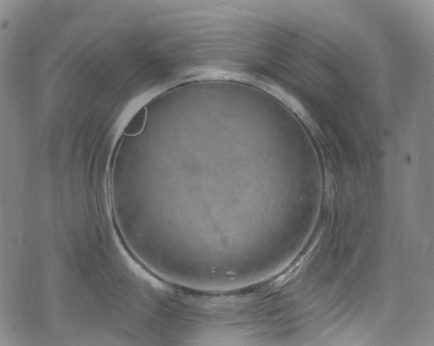 X0000074941247200609011108