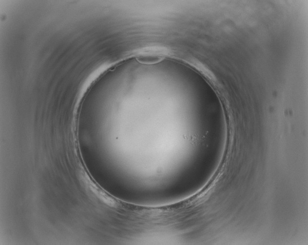 X0000074941248200609011108