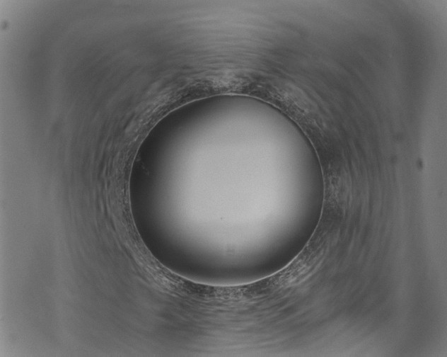 X0000074941249200609011107