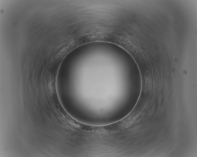 X0000074941250200609011107