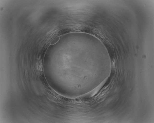 X0000074941251200609011107