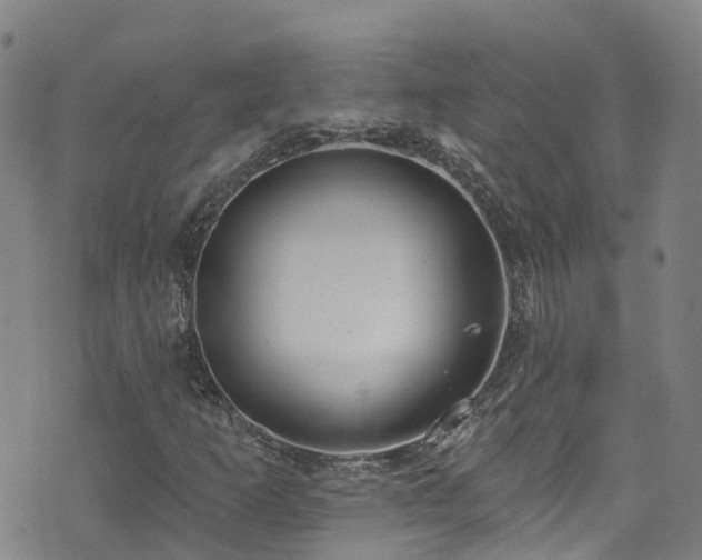 X0000074941253200609011107