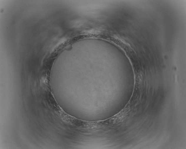 X0000074941254200609011107