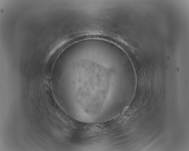 X0000074941255200609011107