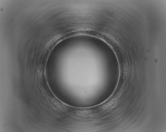 X0000074941257200609011107