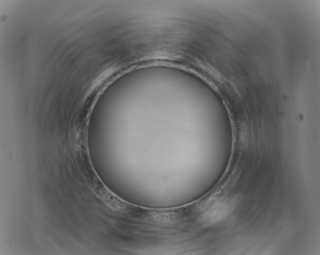 X0000074941258200609011107