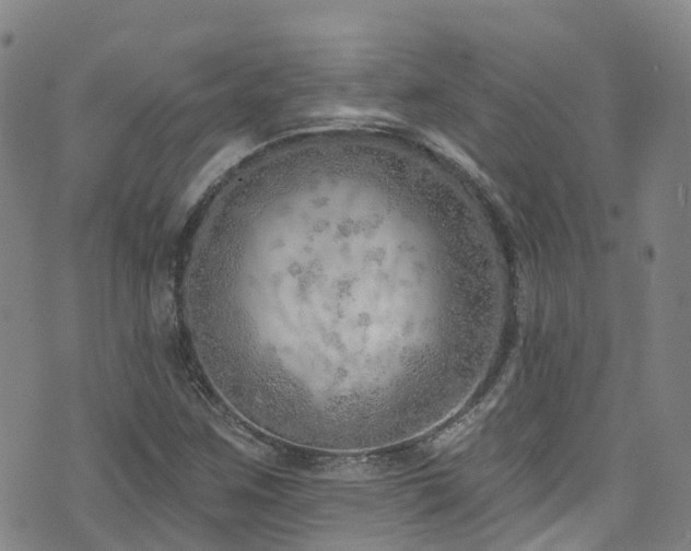 X0000074941259200609011107