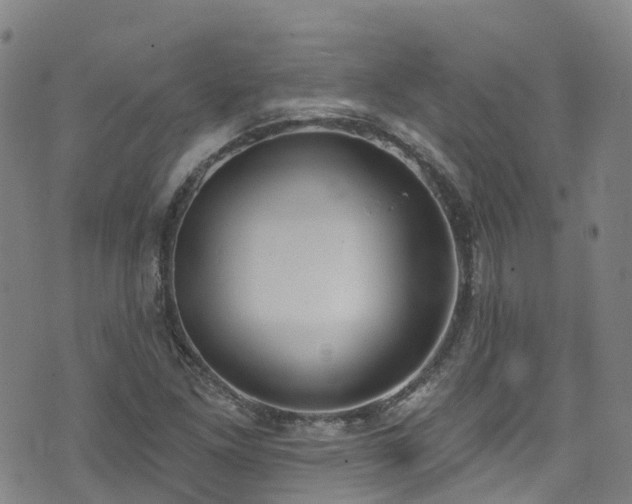 X0000074941261200609011107