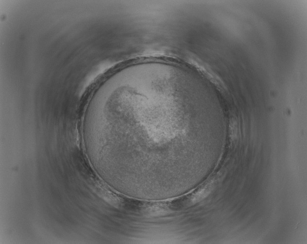 X0000074941262200609011107