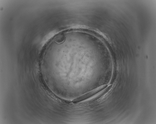 X0000074941263200609011107