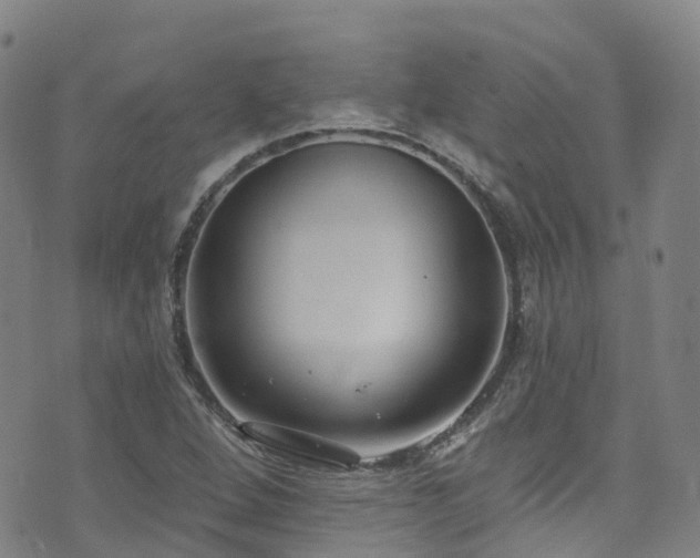 X0000074941264200609011107