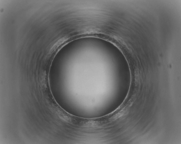 X0000074941265200609011107